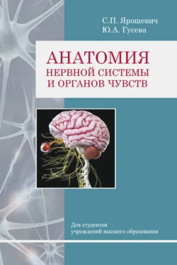 Анатомия нервной системы и органов чувств, Станислав Ярошевич