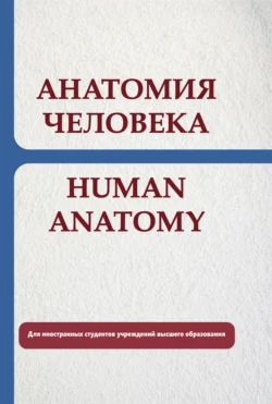 Анатомия человека. Human anatomy, Евгений Околокулак