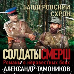 Бандеровский схрон, Александр Тамоников