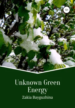 Unknown Green Energy, Zakia Bayguzhina