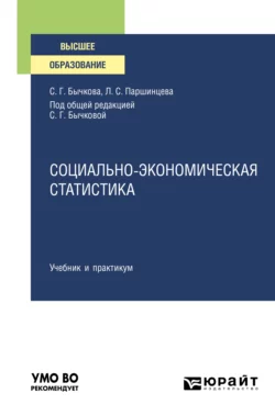 Социально-экономическая статистика. Учебник и практикум для вузов, Светлана Бычкова