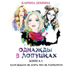 Однажды в Лопушках (книга 1), Карина Демина