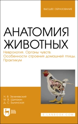 Анатомия животных. Неврология. Органы чувств. Особенности строения домашней птицы. Практикум. Учебное пособие для вузов, Николай Зеленевский