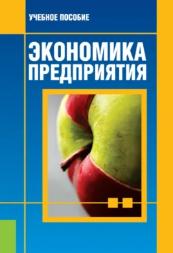 Экономика предприятия. (Бакалавриат, Магистратура). Учебное пособие., Евгений Вайс