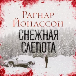 Снежная слепота, Рагнар Йонассон