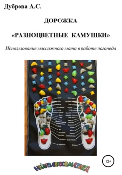 Дорожка «Разноцветные камушки». Использование массажного мата в работе логопеда, Анастасия Дуброва