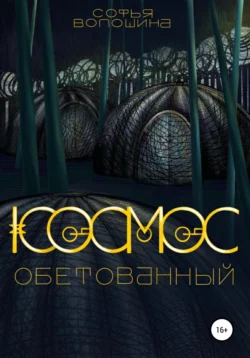 Космос обетованный, Софья Волошина