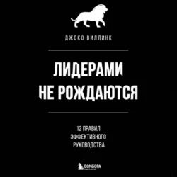 Лидерами не рождаются. 12 правил эффективного руководства, Джоко Виллинк