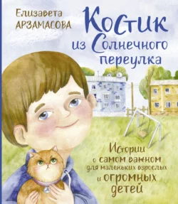 Костик из Солнечного переулка. Истории о самом важном для маленьких взрослых и огромных детей, Елизавета Арзамасова