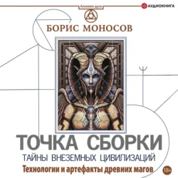 Точка сборки. Тайны внеземных цивилизаций. Технологии и артефакты древних магов, Борис Моносов