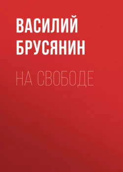 На свободе, Василий Брусянин