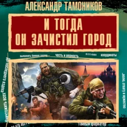 И тогда он зачистил город, Александр Тамоников