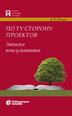 По ту сторону проектов. Записки консультанта, Владислав Ильин