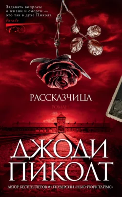 Рассказчица, Джоди Пиколт