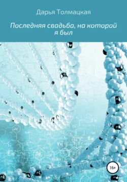 Последняя свадьба, на которой я был, Дарья Толмацкая