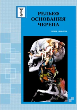 Рельеф основания черепа Регина Люнькова