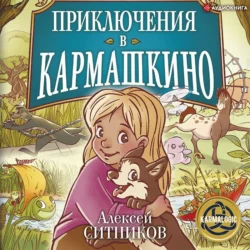 Приключения в Кармашкино, Алексей Ситников