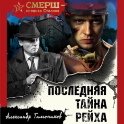 Последняя тайна рейха, Александр Тамоников