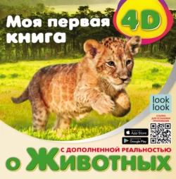 Моя первая 4D-книга о животных, Наталья Куцаева