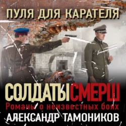 Пуля для карателя, Александр Тамоников