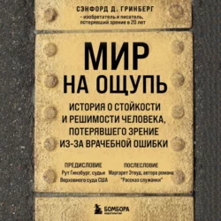 Мир на ощупь. История о стойкости и решимости молодого человека, потерявшего зрение из-за врачебной ошибки, Сэнфорд Д. Гринберг