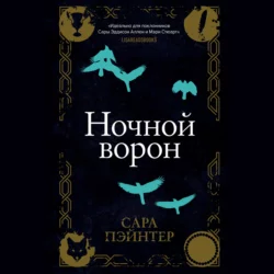 Ночной ворон, Сара Пэйнтер