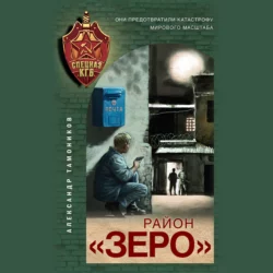 Район «Зеро», Александр Тамоников