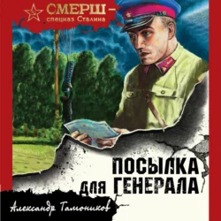 Посылка для генерала, Александр Тамоников