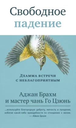 Свободное падение. Дхамма встречи с неблагоприятным, Аджан Брахм