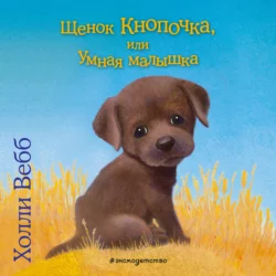 Щенок Кнопочка, или Умная малышка, Холли Вебб