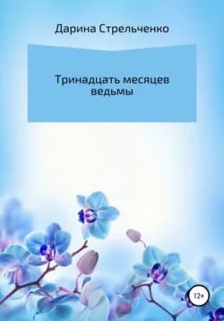 Тринадцать месяцев ведьмы, Дарина Стрельченко