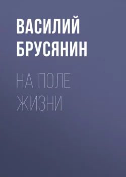 На поле жизни, Василий Брусянин