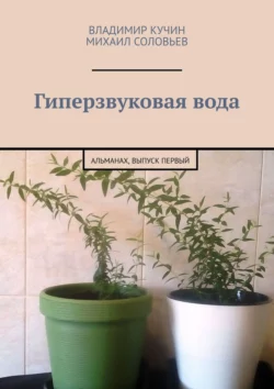 Гиперзвуковая вода Владимир Кучин и Михаил Соловьев