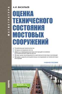 Оценка технического состояния мостовых сооружений. (Специалитет). Учебное пособие. Александр Васильев