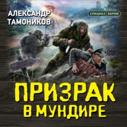 Призрак в мундире, Александр Тамоников