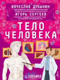 Тело человека, Игорь Сергеев