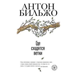 Где сходятся ветки, Антон Бильжо