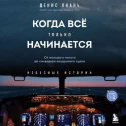 Когда всё только начинается. От молодого пилота до командира воздушного судна, Денис Окань