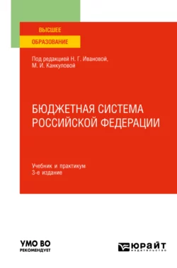 Бюджетная система Российской Федерации 3-е изд.  пер. и доп. Учебник и практикум для вузов Римма Петухова и Елена Писклюкова