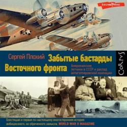 Забытые бастарды Восточного фронта. Американские летчики в СССР и распад антигитлеровской коалиции, Сергей Плохий