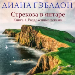 Стрекоза в янтаре. Книга 1. Разделенные веками, Диана Гэблдон