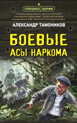 Боевые асы наркома, Александр Тамоников