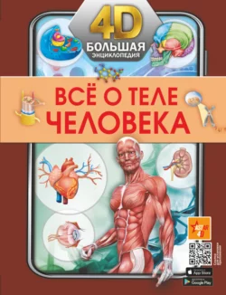 Всё о теле человека, Анна Спектор