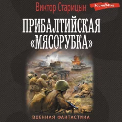 Боевой 41 год. Прибалтийская «мясорубка» Виктор Старицын