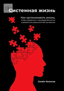 Системная жизнь. Как организовать жизнь, чтобы справиться с неопределённостью и добиваться результата без выгорания, Семён Колосов