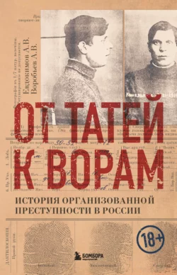 От татей к ворам. История организованной преступности в России, Александр Воробьев