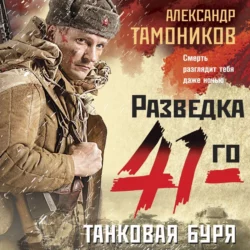 Танковая буря, Александр Тамоников