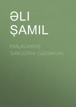 Parçalanmış Türküstanı gəzərkən Али Шамиль