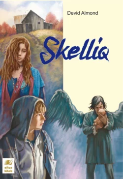 Skelliq, Дэвид Алмонд