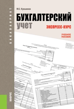 Бухгалтерский учет. Экспресс-курс. (Бакалавриат). Учебное пособие., Михаил Кувшинов